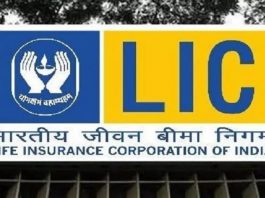 Lic policy scheme: Just invest money once and get an annual pension of Rs 74300 for life