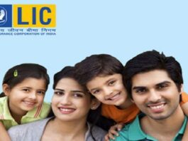 LIC Dhan Rekha Policy: LIC launches Dhan Rekha policy, know some special things about this money back plan