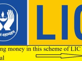 LIC Policy : Investing money in this scheme of LIC is very beneficial, every month an investment of Rs 893 will make you a millionaire.