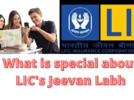 LIC: Get a return of more than 50 lakhs in an investment of less than 8 thousand rupees, this plan of LIC is a profitable deal, know how to invest