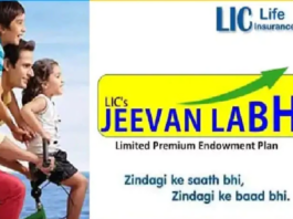 Good News LIC Jeevan Labh: On depositing Rs 233 every month, you will get Rs 17 lakh, check immediately