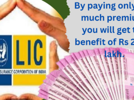 Best LIC Policy : You Will Get Rs 27.60 Lakh by Paying only This Much Premium, know Everything About This Policy