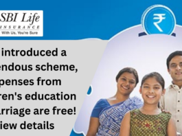 SBI Life Insurance Scheme: SBI introduced a Tremendous Scheme, Expenses From Children's Education to Marriage are Free! View Details