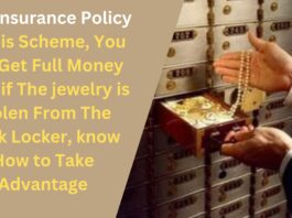 Best Insurance Policy : In This Scheme, You Will Get Full Money Even if The jewelry is Stolen From The Bank Locker, know How to Take Advantage