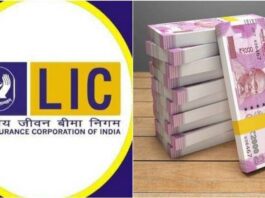 Best LIC Policy : On Depositing Rs 260 in LIC's Policy, You Will Get 54 Lakhs, You Will Get These Benefits, Check Details