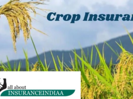 Crop Insurance Scheme : What is Crop Insurance Scheme, how to get its benefits, know all the things related to it