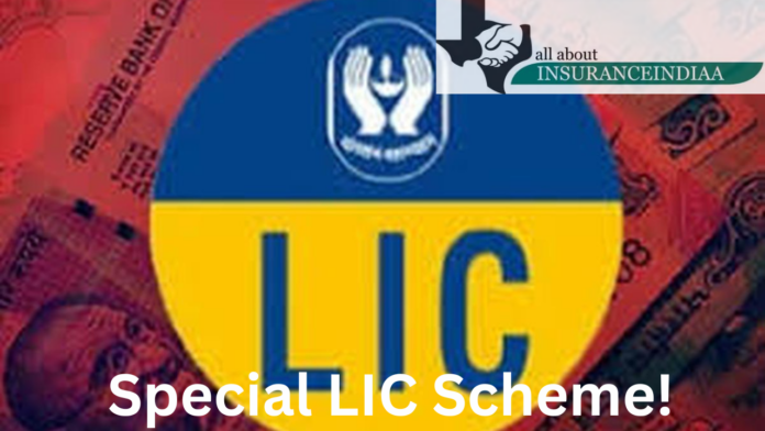 Special LIC Scheme! In this policy of LIC, you will get better returns with money back, women will get special discount