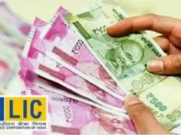 LIC New Jeevan Shanti Plan: ₹ 11,000 will be available every month in this scheme of LIC, get higher annuity rate, know details