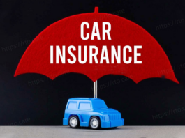 Renew Car Insurance : If you are going to renew car insurance then read these 5 things, there will never be any problem