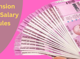 Pension and Salary Rules : Good news for employees before Holi! Government will increase pension and salary!