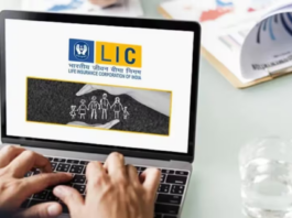 LIC Policy Surrender Value : If you want to surrender to LIC, then know how much money you will get, what is the rule?