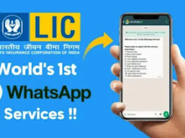 LIC WhatsApp Services : Now find out every information related to LIC policy on WhatsApp, 11 services will be available sitting at home, follow these steps