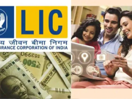 Lic Premium : Your policy has lapsed due to non-payment of premium? So LIC brought a great discount offer