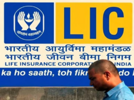 LIC's Strong policy, bumper return on single premium and 10 times risk cover, know the benefits