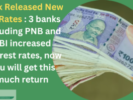 Bank Released New RD Rates : 3 banks including PNB and SBI increased interest rates, now you will get this much return