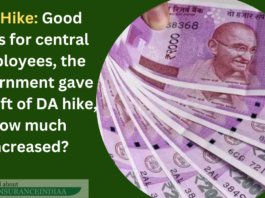 DA Hike: Good news for central employees, the government gave the gift of DA hike, how much increased?