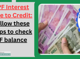 EPF Interest Rate to Credit: Follow these steps to check PF balance