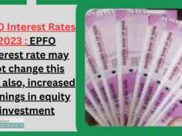 EPFO Interest Rates 2023 : EPFO interest rate may not change this year also, increased earnings in equity investment