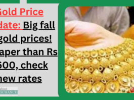 Gold Price Update: Big fall in gold prices! Cheaper than Rs 3600, check new rates