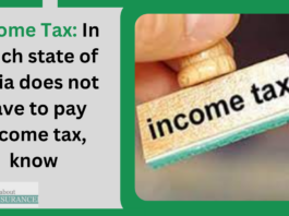 Income Tax: In which state of India does not have to pay income tax, know