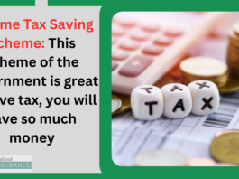 Income Tax Saving Scheme: This scheme of the government is great to save tax, you will save so much money