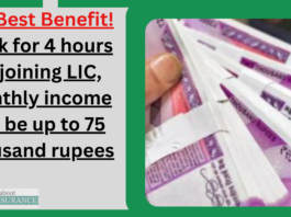 LIC Best Benefit! Work for 4 hours by joining LIC, monthly income will be up to 75 thousand rupees