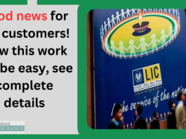 Good news for LIC customers! Now this work will be easy, see complete details