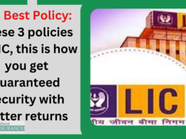 LIC Best Policy: These 3 policies of LIC, this is how you get guaranteed security with better returns