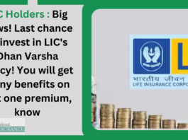 LIC Holders : Big News! Last chance to invest in LIC's Dhan Varsha policy! You will get many benefits on just one premium, know