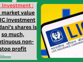 LIC Investment : The market value of LIC investment in Adani's shares is so much, continuous non-stop profit