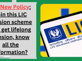 LIC New Policy : Join this pension scheme of LIC and get lifelong pension, know all the details