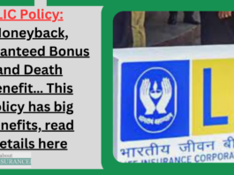 LIC Policy: Moneyback, Guaranteed Bonus and Death Benefit… This policy has big benefits, read details here