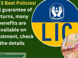 LIC's 3 Best Policies! Full guarantee of returns, many benefits are available on investment, check the details