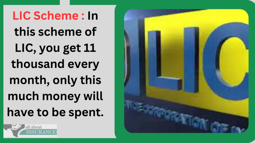 LIC Scheme : In this scheme of LIC, you get 11 thousand every month, only this much money will have to be spent.