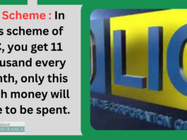 LIC Scheme : In this scheme of LIC, you get 11 thousand every month, only this much money will have to be spent.