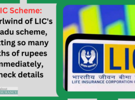 LIC Scheme: Whirlwind of LIC's Phadu scheme, getting so many lakhs of rupees immediately, check details