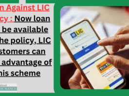 Loan Against LIC Policy : Now loan will be available on the policy, LIC customers can take advantage of this scheme