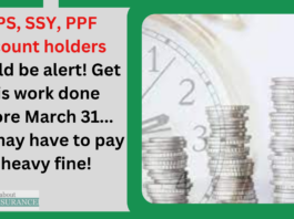 NPS, SSY, PPF account holders should be alert! Get this work done before March 31... You may have to pay a heavy fine!