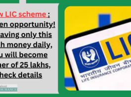 New LIC scheme : Golden opportunity! By saving only this much money daily, you will become owner of 25 lakhs, check details