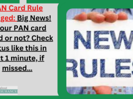 PAN Card Rule changed: Big News! Is your PAN card linked or not? Check status like this in just 1 minute, if missed…