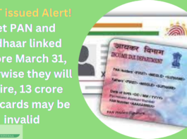 CBDT issued Alert! Get PAN and Aadhaar linked before March 31, otherwise they will expire, 13 crore PAN cards may be invalid