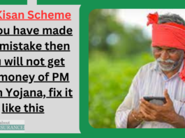 PM Kisan Scheme : If you have made this mistake then you will not get the money of PM Kisan Yojana, fix it like this