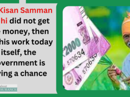 PM Kisan Samman Nidhi did not get the money, then do this work today itself, the government is giving a chance