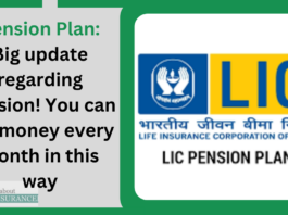 Pension Plan: Big update regarding pension! You can get money every month in this way