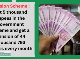 Pension Scheme : Put 5 thousand rupees in the government scheme and get a pension of 44 thousand 793 rupees every month