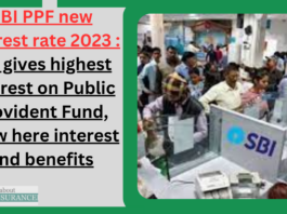 SBI PPF new interest rate 2023 : SBI gives highest interest on Public Provident Fund, know here interest and benefits