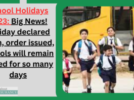 School Holidays 2023: Big News! Holiday declared again, order issued, schools will remain closed for so many days