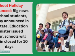 School Holiday Announced: Big news for school students, holiday announced in this state, Education Minister issued order, schools will remain closed for 10 days