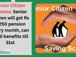 Senior Citizen Scheme: Senior Citizen will get Rs 9,250 pension every month, can avail benefits till 31st