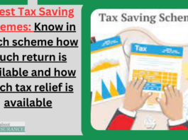 5 Best Tax Saving Schemes: Know in which scheme how much return is available and how much tax relief is available